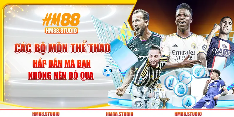 Các bộ môn thể thao hấp dẫn mà bạn không nên bỏ qua