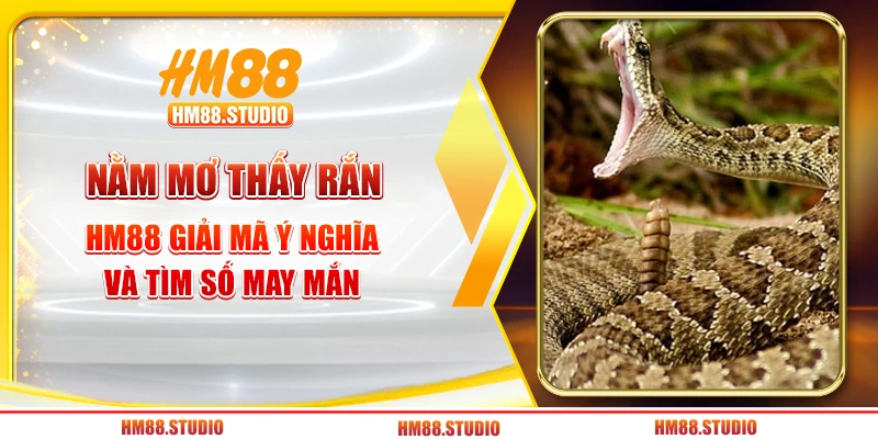 Nằm Mơ Thấy Rắn