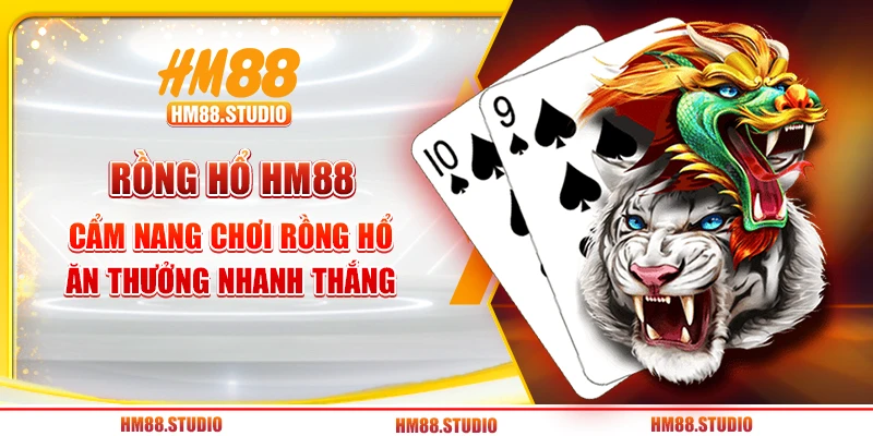 Rồng Hổ HM88